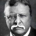 Teddy